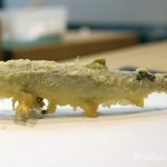 鮎の天ぷら＠稲むら